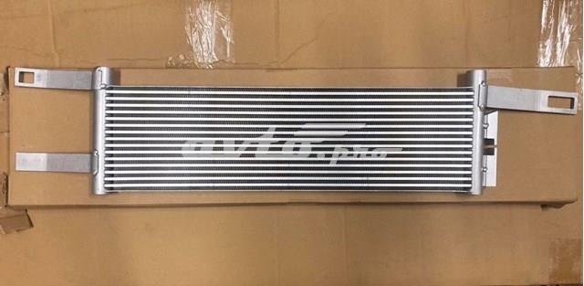 34X3L81 Polcar 