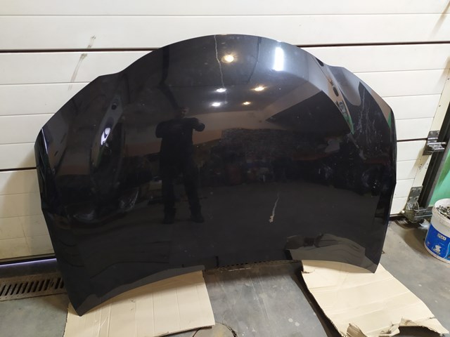 Капот Signeda PTY20248A