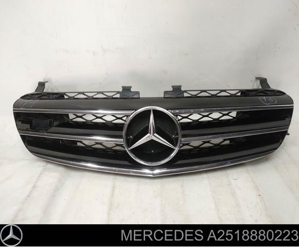 Купити A2518880223 Mercedes 