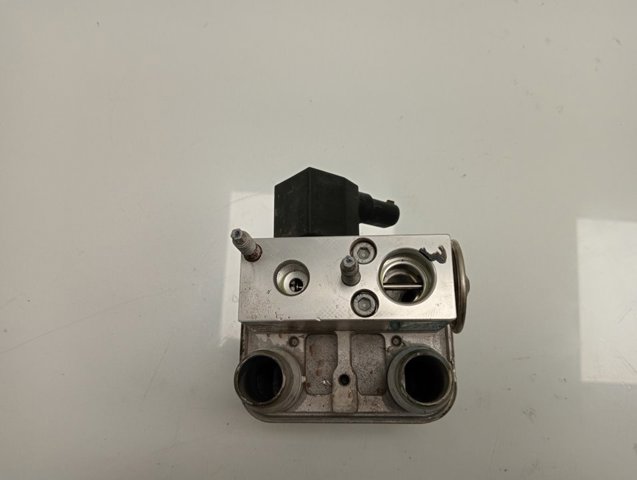 9831600480 Peugeot/Citroen Радіатор інвертора