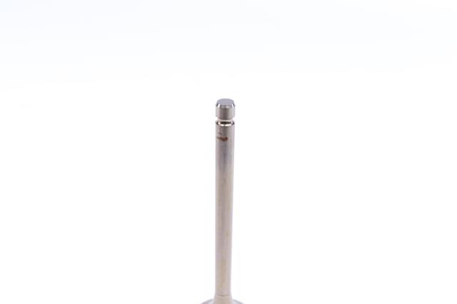 Клапан випускний AMP/Paradowscy PSMA002A0N