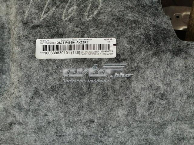  Ford DS73F45594