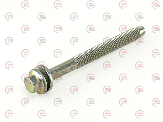 93161698 Peugeot/Citroen Болт кріплення форсунки