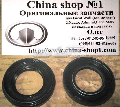 10064809 MG 