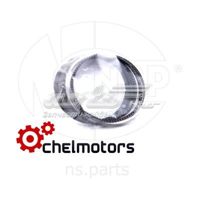 Купити NSP022304026002 NSP Маслоз'емні кільця, стандартні