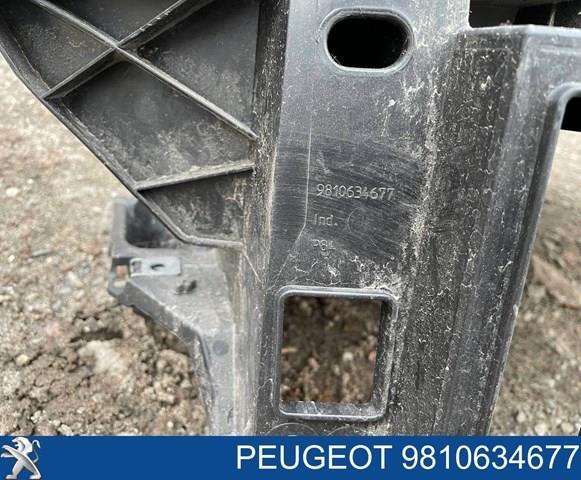  9810634677 Peugeot/Citroen