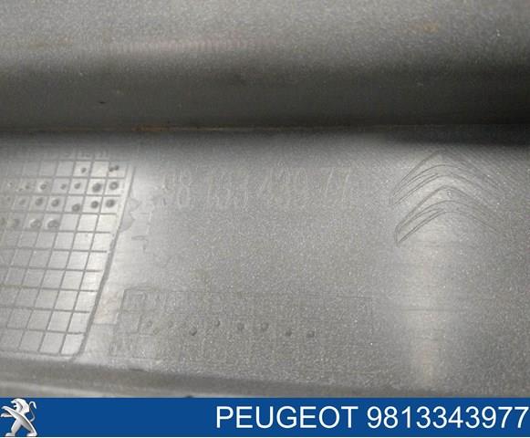 Бампер задній, верхня частина 9813343977 Peugeot/Citroen