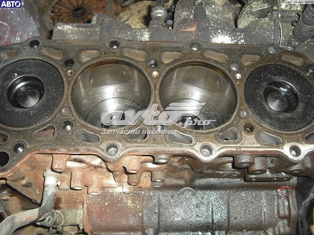 Купити Двигун Nissan Terrano II R20