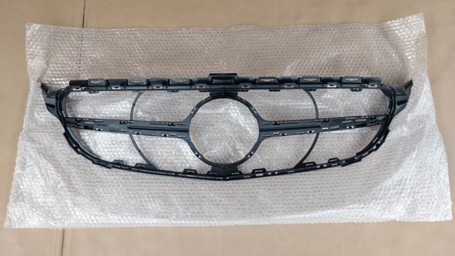 Купити A2058800507 Mercedes Захисна решітка радіатора