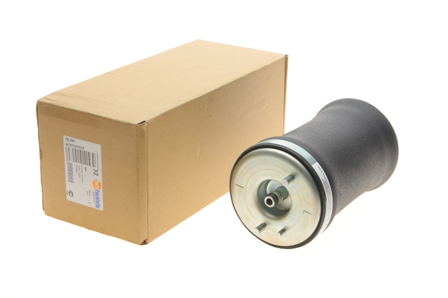 Пневморессора задня Autotechteile 7003301 ціна, від 94.48 USD