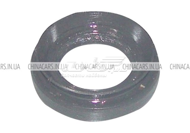 QR523T2402232 Chery 