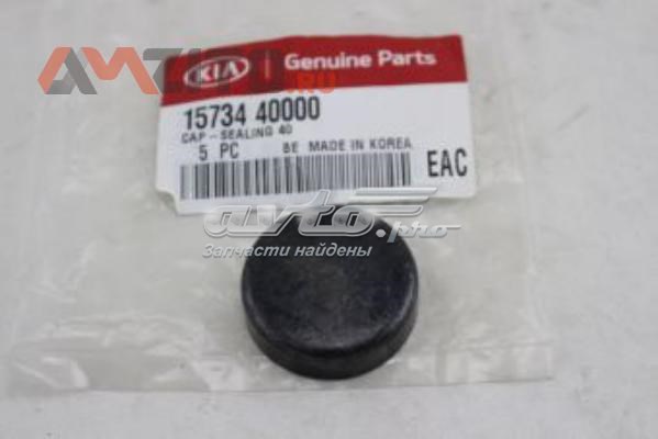 Купити 1573440000 Hyundai/Kia Заглушка блоку циліндрів