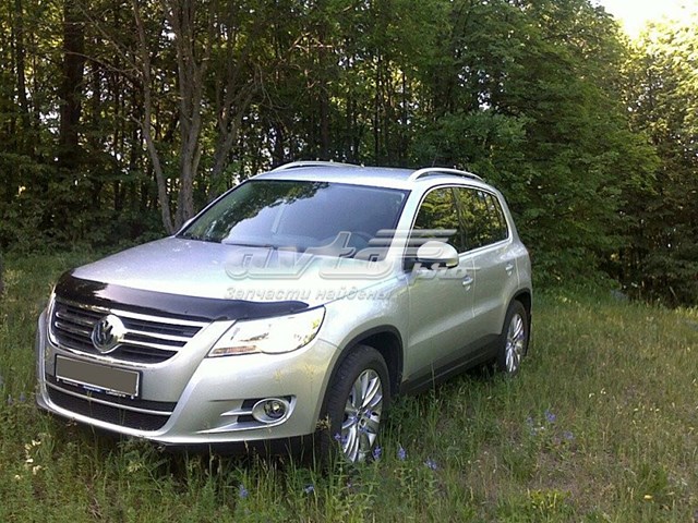 Мухобійка Volkswagen Tiguan I
