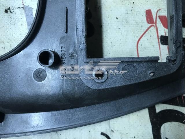 9631315877 Peugeot/Citroen 
