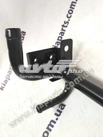 2543142611 Hyundai/Kia 