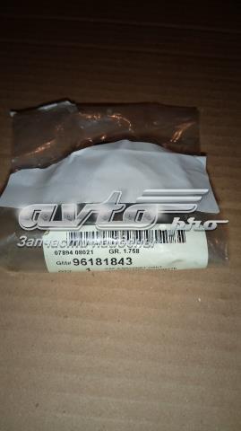 Купити 96181843 General Motors Кришка маслозаливной горловини