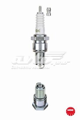  NGK VL08 ціна, від 2.88 USD