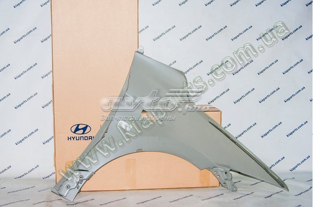 Купити 66310F2010 Hyundai/Kia Крило переднє ліве