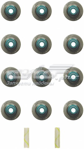  Fel-pro SS72842 ціна, від 33.15 USD