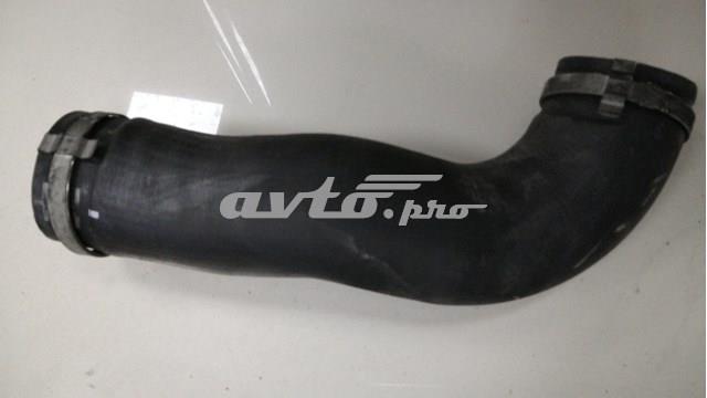  C2C34744 Jaguar