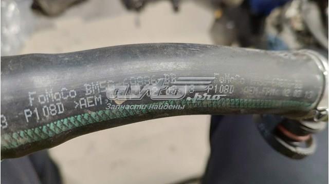 BM5G6A886BB Ford 