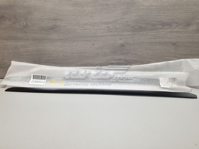 Молдинг лобового скла, правий BMW 51317462218 ціна, від 34.72 USD