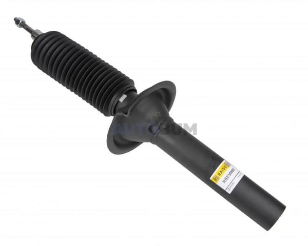 RS230965 Raiso Стійка передня