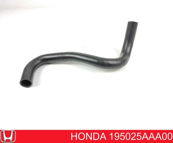 195025AAA00 Honda Шланг/патрубок радіатора охолодження, нижній
