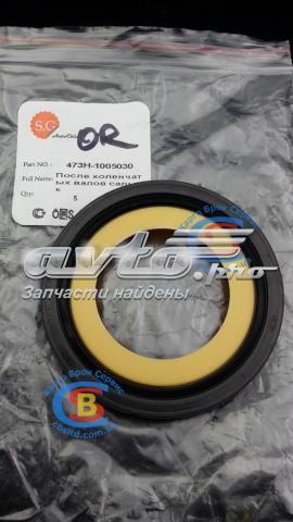 Купити 473H1005030 Chery Сальник колінвала задній