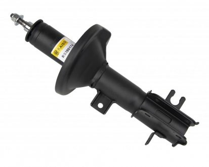 RS290174 Raiso Амортизатор передньої підвіски