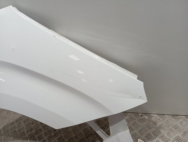 Купити 9816482380 Peugeot/Citroen Крила