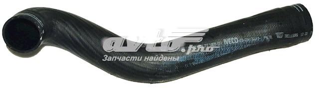504136612 Iveco 