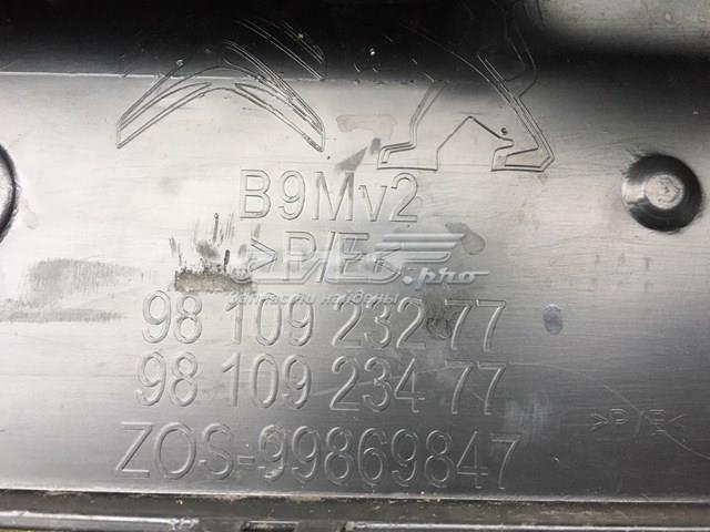 Купити 9810923277 Peugeot/Citroen Буфер (бампер) передній