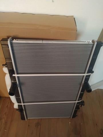 Купити 27X1081 Polcar Радіатор двигуна