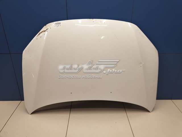 Купити 21900840201000 Lada Капот