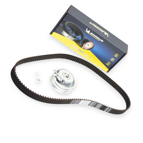  FM010489 Michelin