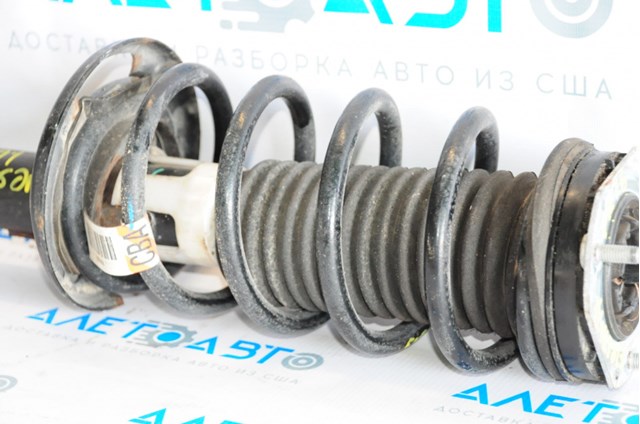 C1BZ5310B Ford Пружина амортизатора передняя