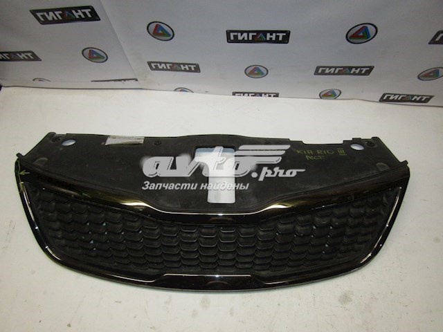 Купити 863504Y500 Hyundai/Kia Захисна решітка радіатора
