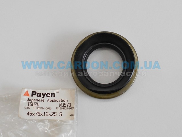 NJ570 Payen 
