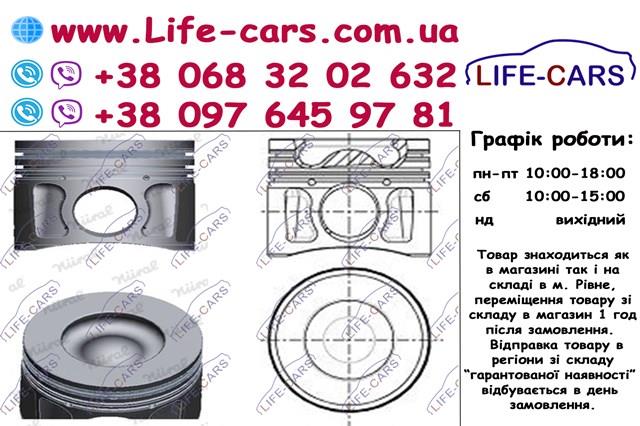Поршень в комплекті на 1 циліндр, STD 8742770050 Nural