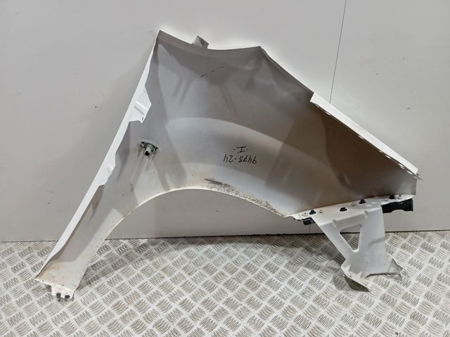 9816482780 Peugeot/Citroen Переднє ліве крило