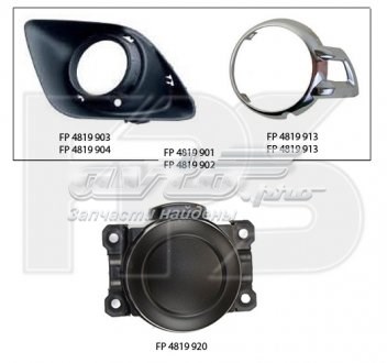  FPS FP4819913