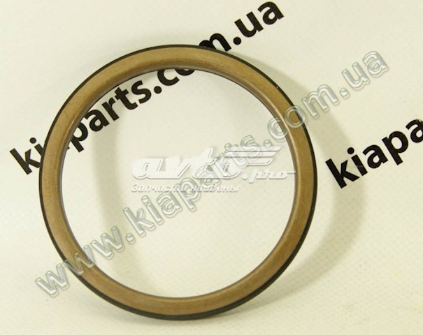Купити 1411CAZAA4 PH 