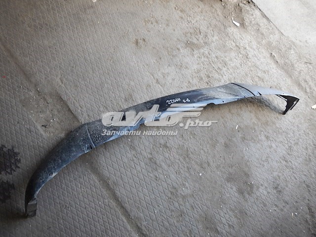 Захисна губа бампера переднього BMW 51117319796