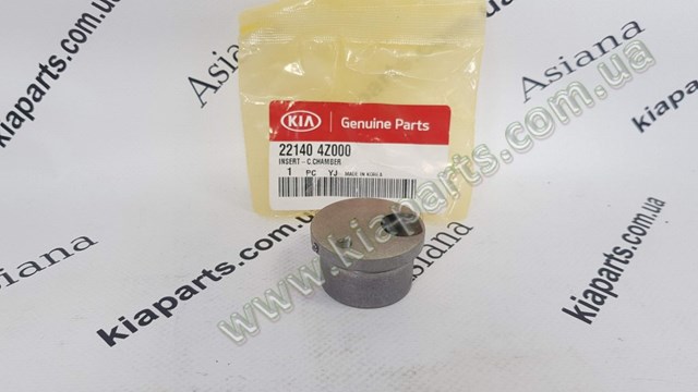 221404Z000 Hyundai/Kia 