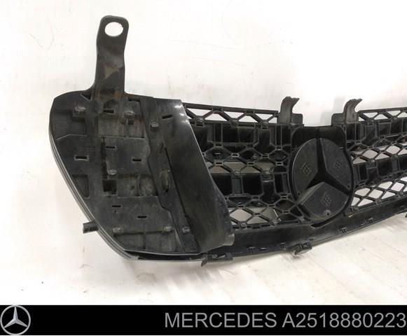 Купити A2518880223 Mercedes 
