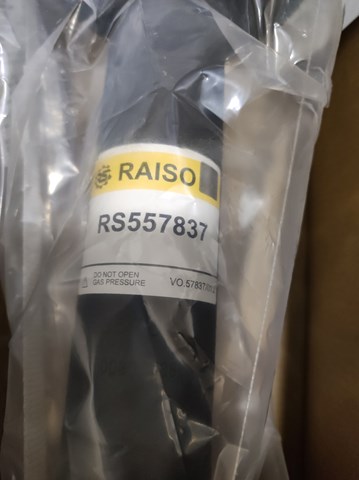 RS557837 Raiso Стійка передня
