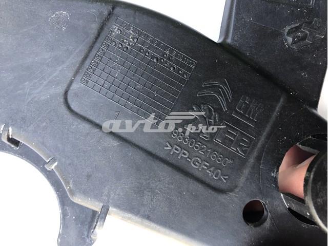 Купити 9830521680 Peugeot/Citroen Кронштейн передньої панелі, правий