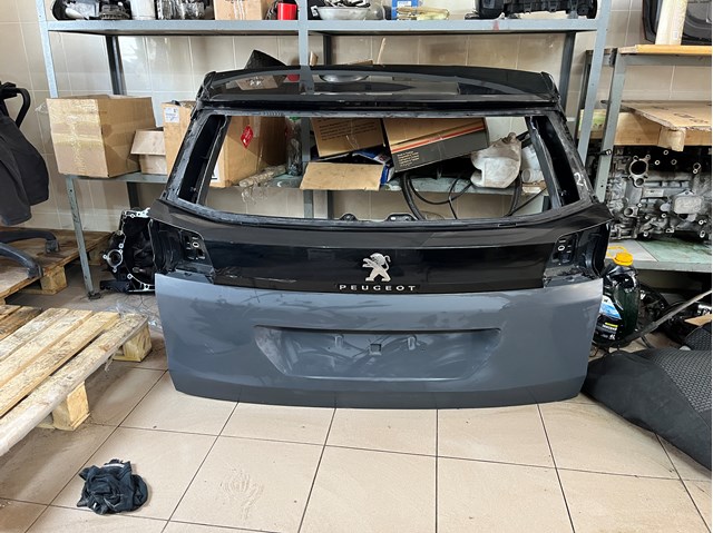  9811550177 Peugeot/Citroen