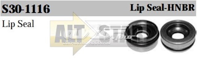 Купити S301116 Santech 
